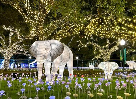 <h3>1. Zoo Lights, Houston</h3> Houston Christmas, Bastrop State Park, Colorado Bend State Park, Best Christmas Light Displays, Zoo Lights, Guadalupe Mountains National Park, Houston Zoo, Mustang Island, Guadalupe Mountains