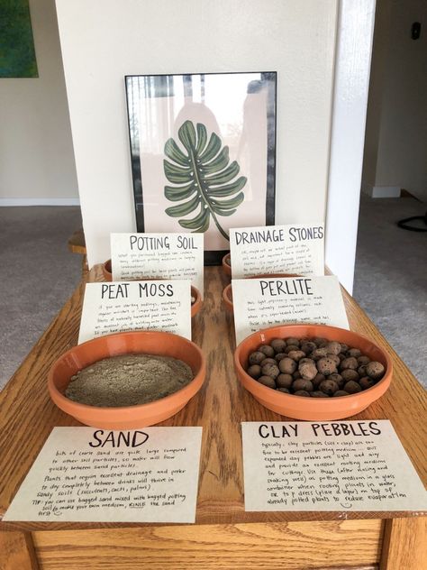 Plant Propagation Party, Plant Party Activities, Plant Exchange Party, Plant Swap Party, Plant Swap Ideas, Plant Festival, Plant Truck, Plant Swap, Poshmark Packaging