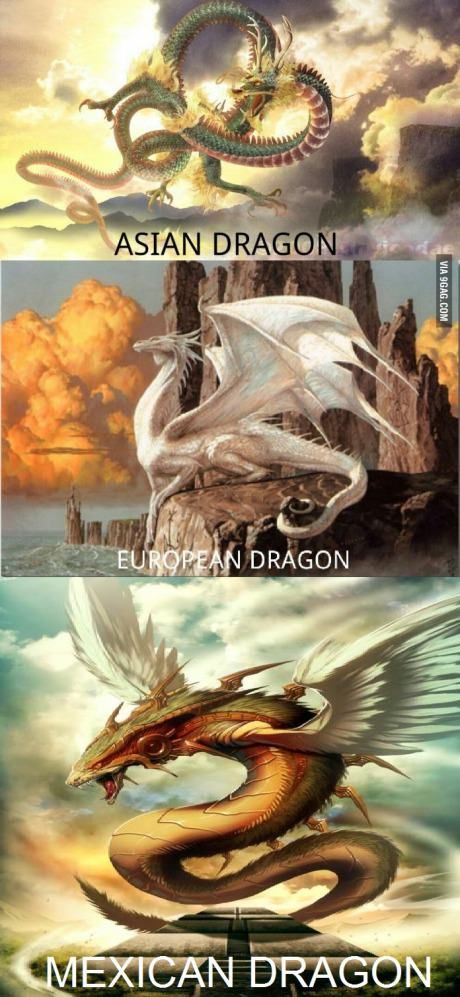 Saw your Dragons, here's mine (Quetzalcóatl) European Dragon, Sejarah Kuno, Types Of Dragons, Creature Fantasy, Asian Dragon, Dragon Images, Fantasy Beasts, Animale Rare, Dragon Pictures