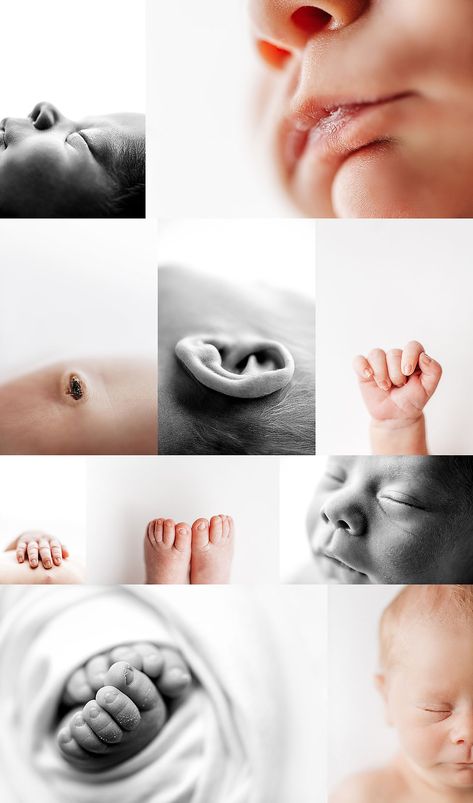 newborn macro photography Newborn Details, Newborn Ideas, Macro Photos, Photography Workshops, Newborn Photos, Newborn Photography, The Magic, Lifestyle, Photography