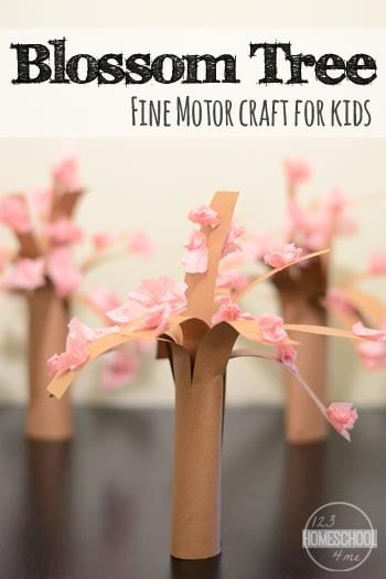 Spring is in the air! One of our favorite signs of Spring is a blooming Cherry Blossom Tree. So we decided to make a pretty cherry blossom craft to celebrate one of our springtime favorites!  This spring craft is great because it includes a lot of fine motor work for toddler, preschool, pre-k, kindergarten, and first grade students. So come see how to make a cherry blossom tree with tissue paper with your child! Cherry Blossom Craft, Blossom Craft, Rain Crafts, Prek Crafts, Diy Spring Crafts, Spring Art Projects, Spring Preschool, Tree Craft, Spring Crafts For Kids