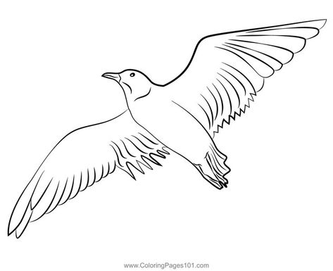 Seagull In Flight Coloring Page Seagull Coloring Page, Realistic Dragon, Love Coloring Pages, Sea Gull, I Love My Dad, In Flight, Free Coloring Pages, Free Kids, Printable Coloring Pages