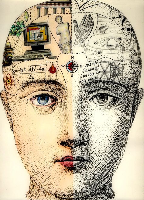 Phrenology Head, Arte Occulta, Art Du Collage, Collage Kunst, Right Brain, Art Graphique, Altered Art, Collage Art, Antonio Mora Artwork