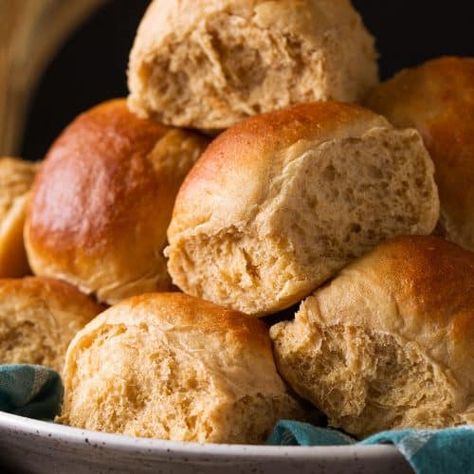 Honey Whole Wheat Rolls Wheat Dinner Rolls Recipe, Whole Wheat Dinner Rolls, Wheat Dinner Rolls, Wheat Rolls, Whole Wheat Rolls, Thanksgiving Appetizer Recipes, Wheat Recipes, Thanksgiving Dinner Recipes, Dinner Rolls Recipe