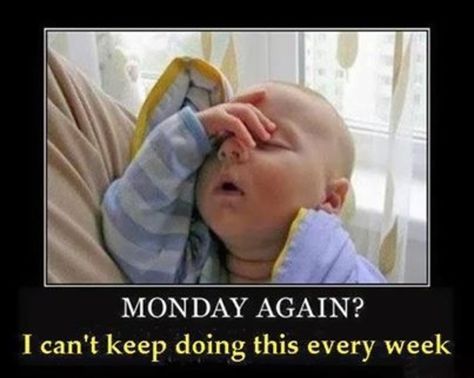 Yes it's Monday again!  Monday's can be rough but we have 50 funny Happy Monday quotes to brighten your day. Monday Again, Memes Humor, Instagram Funny, Humor, Memes, Funny, Instagram, Humour