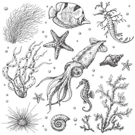 Ocean Sleeve, Sea Creatures Art, Underwater Plants, Cnidaria, Sea Tattoo, Ocean Tattoos, Theme Tattoo, Octopus Tattoo, Vector Sketch