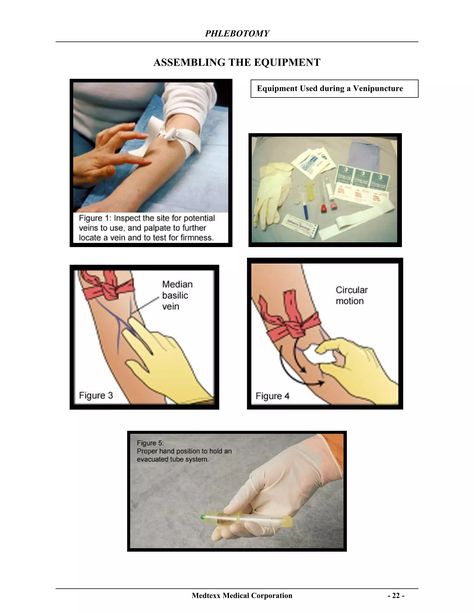 Phlebotomy Tips Cheat Sheets, Veins In Arms, Phlebotomist Aesthetic, Phlebotomy Aesthetic, Phlebotomy Tips, Phlebotomy Notes, Phlebotomy School, Phlebotomy Study, Phlebotomy Technician