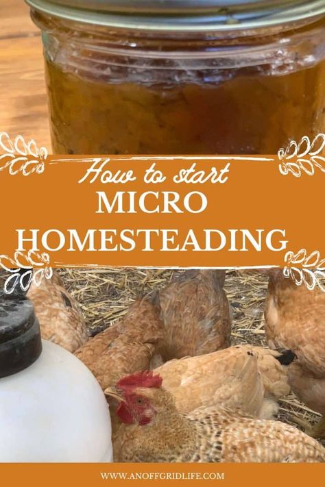 Vegan Homesteading, Micro Homesteading, Micro Homestead, Off Grid Homestead, Micro Farm, Modern Homesteading, Homesteading Skills, Urban Homesteading, Seed Saving