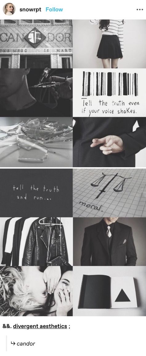 Candor Aesthetic Divergent, Candor Aesthetic, Abnegation Aesthetic, Dauntless Aesthetic, Divergent 2, Divergent Aesthetic, Sfx Ideas, Tris Prior, Tobias Eaton