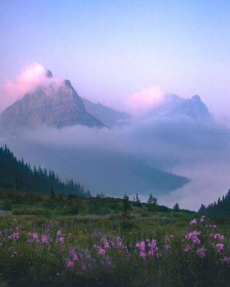 tags* #aesthetic #flowers #mountains #pink #sky #clouds #blue #nature #photography Nice Scenery, Peaceful Vibes, Pretty Landscapes, Pretty Photos, Glacier National Park, Future Life, Nature Aesthetic, Pretty Places, Art Plastique