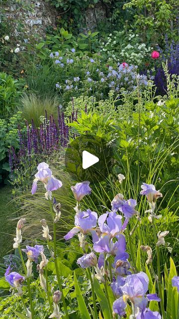 Nic Howard on Instagram: "Our recent Arundel project looking absolutely gorgeous. The narrow town garden bordered with old flint walls is an absolute plantsman’s delight. 
.⁣
.⁣
.⁣
.⁣
#cottagegarden #cottagegardenflowers #cottagestyle #countrylife #countryliving #dreamgarden #englishcountrygarden #englishcountryside #flowersofinstagram #flowerstagram #garden #gardendesign #gardening #gardeninspiration #gardens #gardensofinstagram #gardentransformation #garten #gartenliebe #instagarden #landscapearchitecture #landscapedesign #landscapedesigner #mygardentoday #outdoorliving #patio #plants #plantsofinstagram #pollinatorgarden #roses" Town Garden, English Country Gardens, Cottage Gardens, Patio Plants, Pollinator Garden, Garden Borders, English Countryside, Dream Garden, Country Life