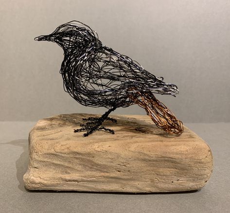 Wire Bird Sculpture, Chicken Wire Sculpture Diy, Wire Birds, Chicken Wire Sculpture, Chicken Wire Art, Wire Bird, Wire Art Sculpture, Art Wire, Book Sculpture