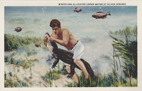 Silver Springs Florida, Springs Florida, Silver Springs, Roadside Attractions, Under Water, Fairy Land, Vintage Travel Posters, Vintage Travel, Theme Park