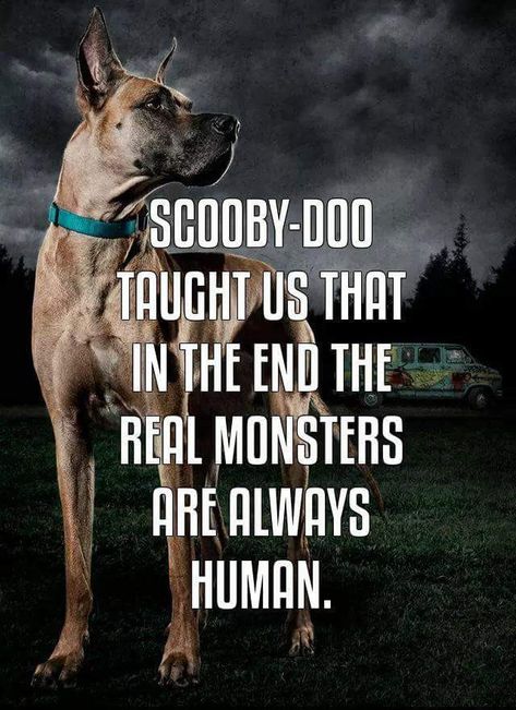 Scooby-Doo taught us that, in the end, the real monsters are always human. Funny Quotes For Kids, Real Monsters, Dog Quotes Funny, Super Funny Quotes, School Quotes Funny, Cat Quotes Funny, Funny Animal Quotes, Funny Quotes For Teens, Hard Truth