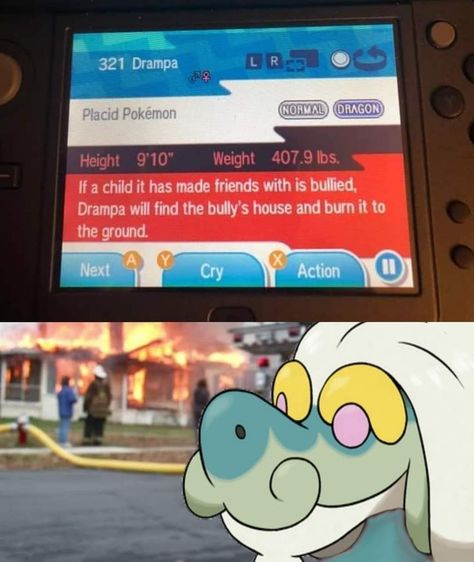 Pokemon Memes Funny Hilarious, Funny Pokemon Pictures, Pokemon Memes Funny, Funny Pokemon Go, Pokémon Funny, Pokemon Twitter, Oc Pokemon, Pokémon Stuff, Cute Pokemon Pictures