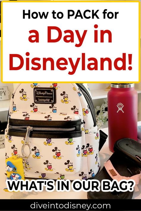 What To Pack For A Day At Disneyland, Disneyland Things To Bring, How To Pack For Disneyland, Disneyland What To Bring, What To Take To Disneyland Packing Lists, Best Bags For Disneyland, Best Bag For Disneyland, Disneyland Trip Must Haves, Pack For Disneyland