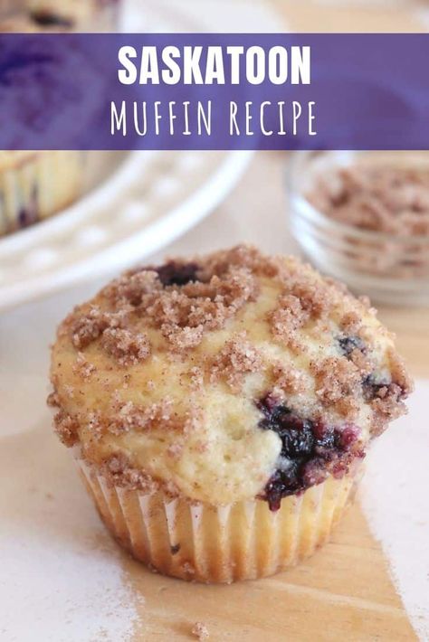 Saskatoon Recipes, Saskatoon Berry Recipe, Greek Yogurt Blueberry, Greek Yogurt Blueberry Muffins, Yummy Muffins, Blueberry Yogurt Muffins, European Cakes, Blueberry Muffin Recipe, Yogurt Muffins