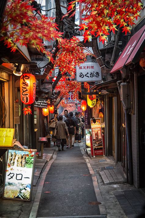 What a lovely view at a little street in Tokyo! Unfortunately we don't know where this is – does anoyone know that street and could help us out? :-) Go To Japan, Tokyo Disneyland, Visit Japan, Hiroshima, Fukuoka, Yokohama, Oh The Places Youll Go, Dream Destinations, Okinawa