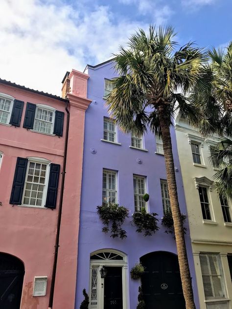 Gluten Free, Paleo Travel: Charleston, SC | Grass Fed Girl Gluten Free Charleston Sc, Charleston Sc Food, Charleston Sc Restaurants, Coastal South Carolina, Mississippi Travel, Gluten Free Guide, Gluten Free Travel, South Carolina Homes, City Bus