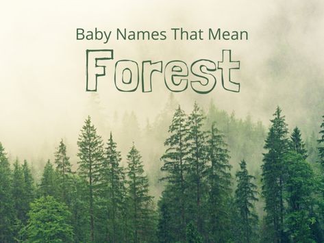 For those who have an innate love and appreciation for nature, consider one of these baby names that mean forest for your little one. Glade, Oakley, Aspen … the list is filled with beautiful and unique options. Take a look and find the perfect fit! #babynames #boynames #girlnames Names Meaning Forest, Gender Fluid Names, Forest Names, S Baby Girl Names, Celtic Names, Names Starting With S, Boy Name Meanings, Names Meaning