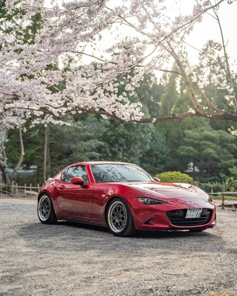 🌸 Meanwhile in Japan 🇯🇵 #sakura #TopMiata #JDM #Mazda #Miata #MX5 #roadster Mazda Mx5 Nd, Mx5 Nd, Mazda Miata Mx5, Top Miata, Japan Sakura, Miata Mx5, Mazda Mx5 Miata, Mazda Miata, Mazda Mx5