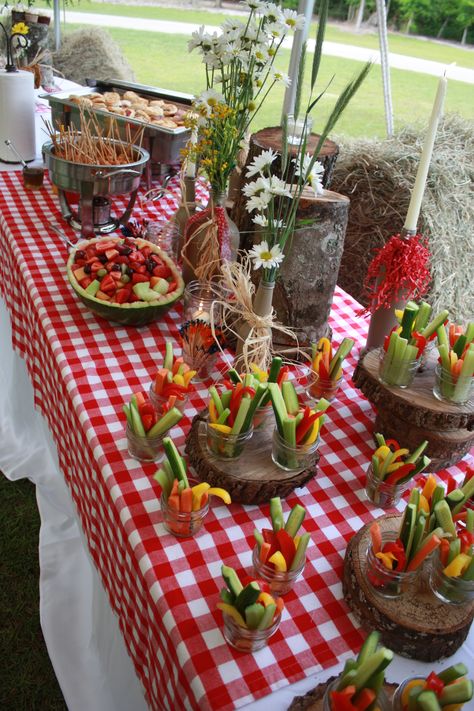 Appetizer table Hillbilly Party, Country Birthday Party, Appetizer Table, Trash Party, Appetizers Table, Country Birthday, Country Party, Barn Parties, Western Theme Party