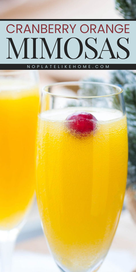 Spruce up your brunch with this alcoholic Christmas drink! This Cranberry Orange Mimosa recipe is flavored with Elderflower liqueur or syrup and white cranberry juice. Love this easy-to-make game-day cocktail recipe that is so much fun and PERFECT for brunch. Try it now! Christmas Day Mimosas, Mimosa Recipe Orange, Breakfast Drinks With Alcohol, Cranberry Drinks Alcohol, Orange Mimosa Recipe, Cranberry Mimosa Recipe, Orange Mimosa, Cranberry Mimosa, Cold Drinks Recipes