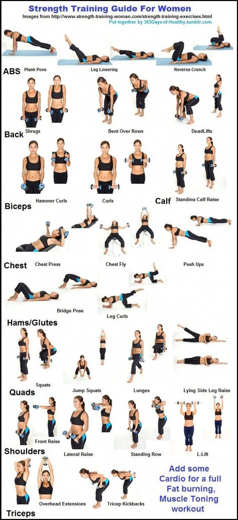 Weights Workout For Women, Weight Training Women, Strength Training Guide, Strength Training For Beginners, Gym Antrenmanları, Weight Training Workouts, Strength Training Workouts, At Home Workout Plan, Fitness Workout For Women