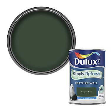 Cannon Ball, Dulux Paint, Focus Point, Storing Paint, Acai Berry, Painted Ceiling, Green Paint, Diy Materials, Green Wall