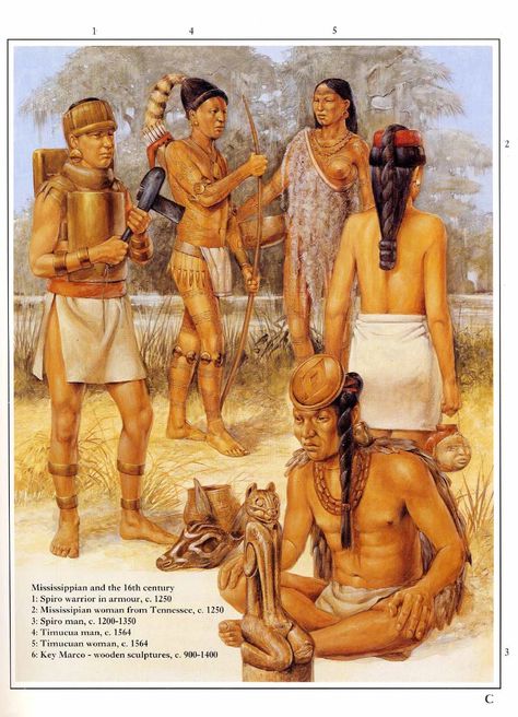 Woodland Indians, Eastern Woodlands, Native American Warrior, Indigenous Americans, Native American Tribes, Native American History, Native American Culture, American People, Native American Art