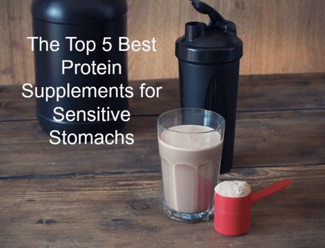 The Top 5 Best Protein Supplements for Sensitive Stomachs Alternative Protein, Best Protein Supplement, Gi Issues, Acai Berry Powder, Meal Replacement Powder, Healthy Mummy, Best Protein Powder, Protein Powders, Daniel Fast