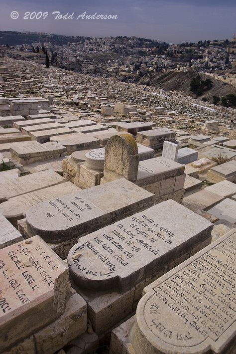 Jewish Cemetery on the Mount of Olives | This is a Jewish ce… | Flickr Muslim Cemetery, Desert Village, Esoteric Wisdom, Jewish Cemetery, Jewish Lifestyle, Jewish Synagogue, Jewish Temple, Evacuation Plan, Temple Mount