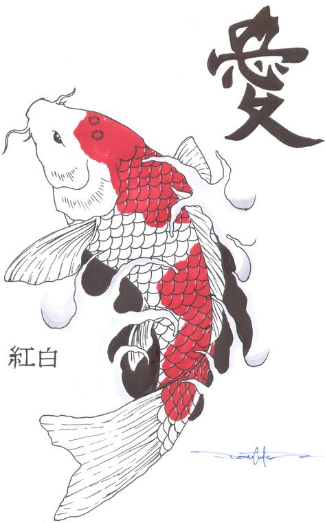 koi fish Karp Koi, Tatoo Dog, Jellyfish Illustration, Koi Tattoo Design, Koi Fish Drawing, Tattoo Placements, Jellyfish Painting, Jellyfish Drawing, Kunst Tattoos