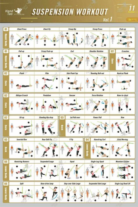 Superman Plank, Suspension Workout, Exercise Poster, Press Handstand, One Arm Row, Arm Curls, High Plank, Tricep Dips, Body Is A Temple