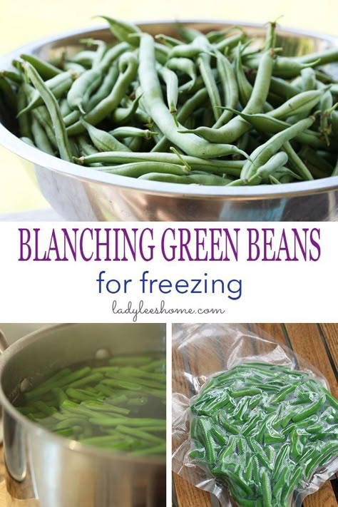 Freezing Green Beans Without Blanching, Blanching Green Beans For Freezing, How To Preserve Green Beans, How To Blanch Green Beans, Preserve Green Beans, Freezing Green Beans, Blanch Green Beans, Preserving Green Beans, Freezing Veggies