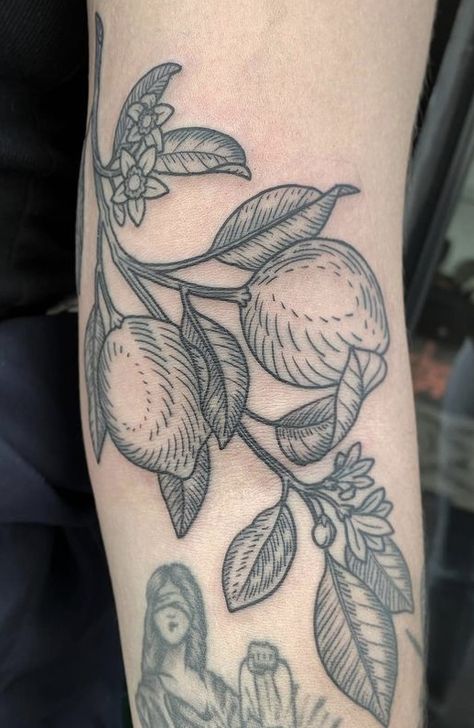 Floral Arm Filler Tattoo, American Traditional Fig Tattoo, Mango Tattoo Black And White, Colored Outline Tattoo, Citrus Branch Tattoo, Berry Plant Tattoo, Fruit Plant Tattoo, Plant Hip Tattoo, Botanical Tattoo Arm