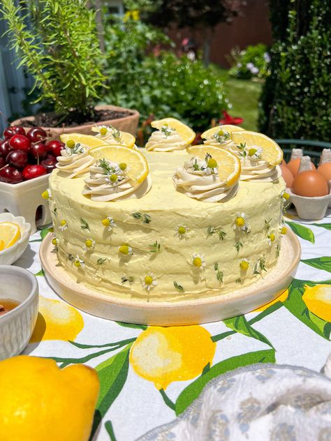 Summer Baking Recipes, Lemon Birthday Cakes, Chocolate Olive Oil Cake, Chantilly Cake, Vanilla Cream Cheese, Vanilla Cream Cheese Frosting, Lemon Layer Cakes, Chocolate Fudge Frosting, Light Cakes