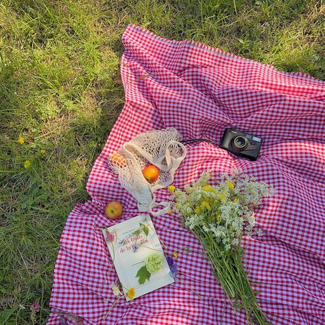 Flowers Meadow, Spring Picnic, Spring Inspo, Picnic Date, Pink Vibes, Cute Wallpaper For Phone, Cottagecore Aesthetic, Spring Fling, Spring Has Sprung