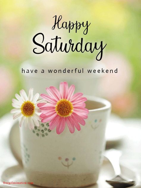 Happy Saturday Gif, Saturday Gif, Good Afternoon Images, Cool American Flag, Happy Saturday Images, Afternoon Images, Vs Pink Dog, Saturday Images, Good Afternoon Quotes