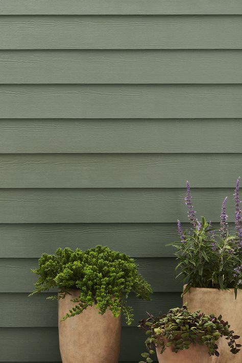 House Siding & Backer Board | James Hardie James Hardie Dried Eucalyptus, Green Hardie Board House, Hardie Board House, Hardie Board Siding Colors, Hardy Board Siding, Hardie Board Siding, Hardy Plank Siding, Siding Styles, Exterior House Siding