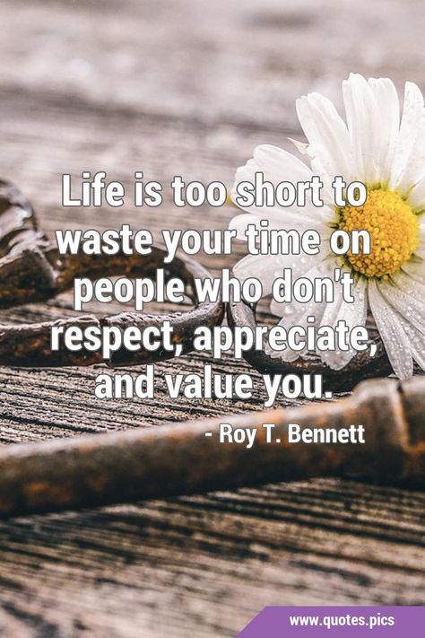 Life is too short to waste your time on people who don't respect, appreciate, and value you Black Queen Quotes, Nice Quotes, Quotes Pics, Really Good Quotes, You Quotes, Waste Time, Wrong Person, Life Is Too Short, Advice Quotes