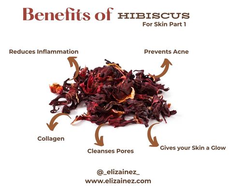 Did you know that you can use hibiscus in your daily #skincareroutine ? #hibiscus is extremely beneficial for your skin here are some benefits of hibiscus for your skin! Remember this is just part 1 because there is more! #hibiscussoap #hibiscustea #skincaretips #skincaretips101 #beautytips #beautytipsandtricks #makeuptips #makeuphacks #naturalbeauty #naturalskincare #naturalskincaretips #naturalskincareproducts #organicskincare #ınstadaily #instagood #Instabeauty #greensboro #winstonsalem #n... Benefits Of Hibiscus, Hibiscus Tea, Prevent Acne, May 23, Reduce Inflammation, Remember This, Organic Skin Care, Natural Skin Care, Skin Care Tips