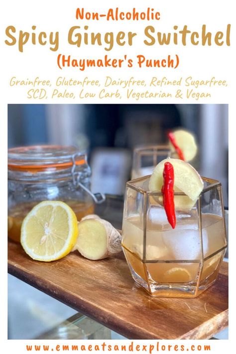 Non-Alcoholic Spicy Ginger Switchel (Haymaker's Punch) - Emma Eats & Explores Haymakers Punch, Wild Fermentation, Hot Apple Juice, Switchel Recipe, Ginger Honey Lemon, Healthy Beverages, Creative Cocktails, Probiotic Drinks, Ginger Slice