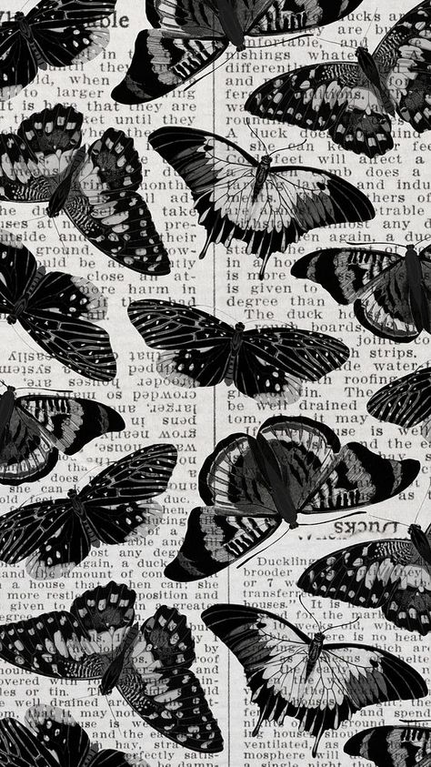 Black Butterfly Wallpaper, Grey Aesthetic Wallpaper, Butterfly Phone Wallpaper, Wallpaper Butterfly, Grey Aesthetic, Wallpaper Vintage, Black Butterfly, Butterfly Wallpaper, Phone Wallpaper