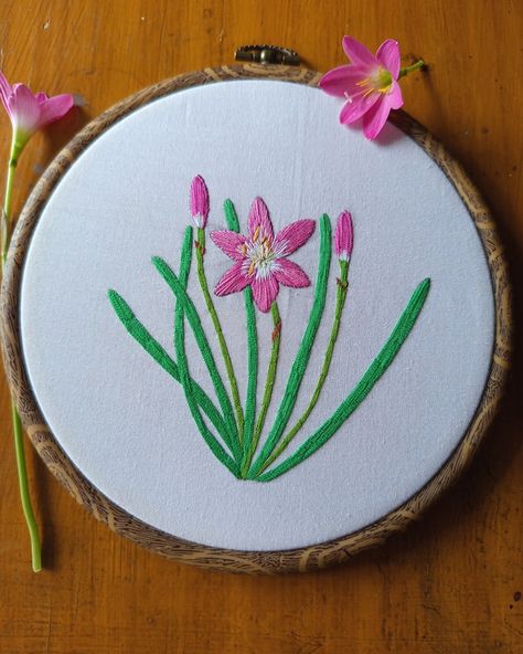 Flowers always make people better , happier They are sunshine to the soul . RAIN LILY FLOWER EMBROIDERY #embroidery #embroideryart #embroiderydesign #embroidered #flowerembroidery #floralart #bordado #bordadofloral #stitch #handembroidery #aesthetic #aestheticembroidery #flowers #needlework #aestheticart #floweraesthetic #rainlily Rain Lily Flower, Lily Flower Embroidery, Embroidery Lily, Needle Point Asthetic Flowers, Stargazer Lily Embroidery, Lilac Flower Embroidery, Embroidered Lily, Embroidery Suits Punjabi, Suits Punjabi