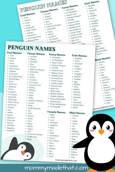 100+ of the Best Penguin Names Names For Penguins, Aesthetic Penguin, Pet Penguin, Penguin Quotes, Birthday Drawings, Penguin Names, Happy Birthday Drawings, Best Names, Penguin Species