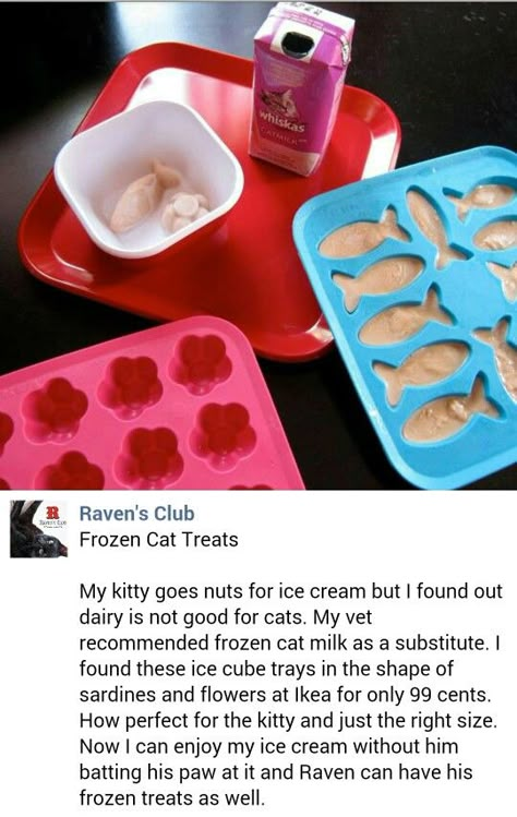 Ice Cream For Cats, Cat Ice Cream Recipes, Cat Lick Mat Recipes, Homemade Cat Treats Recipes, Diy Cat Treats, Diy Cat Food, Kitten Treats, Healthy Cat Food, Cat Ice Cream