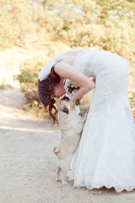 Pug Wedding, Dog Wedding Outfits, Pugs And Kisses, Wedding Picture Poses, Wedding Pets, A Pug, Pugs Funny, Romantic Bride, Cute Pugs