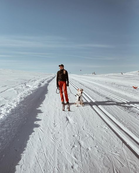 Winter Goals, Ski Vibes, Sun And Beach, Skiing Aesthetic, Ski Aesthetic, Cross Country Ski, Snow Trip, Winter Walk, The Mountains Are Calling