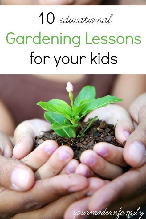 WHY I plant my garden (and its not why you think)… Garden Improvement, Plants Unit, Homeschool Room, Gardening 101, School Garden, Smart Kids, Lessons For Kids, Gardening For Kids, Lawn And Garden